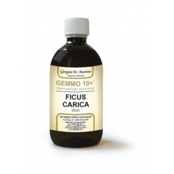 Dr Giorgini Gemmo 10+...