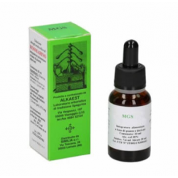 Mgs19 Salice Macerato...