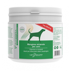 Vetekipp SRL V-Integra Cane...