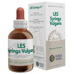 Les Syringa Vulgaris...