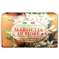 Nesti Dante Marsiglia In...