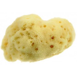 BEAUTYTIME SPUGNA NATURALE...