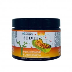 Sygnum Solvet Mitocondri e...