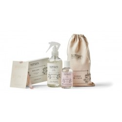 CONCENTRATO PROF BERGAM/CED