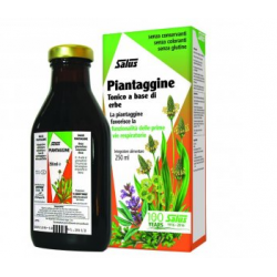 Salus Piantaggine...