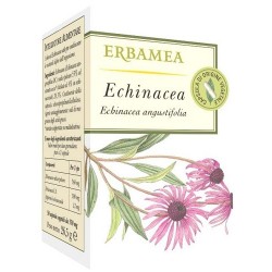 Erbamea Echinacea...