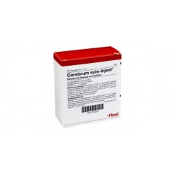 Cerebrum Suis Injeel Heel...