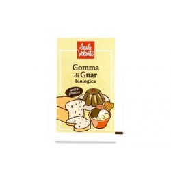 GOMMA DI GUAR 10 G