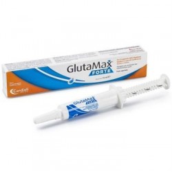 Glutamax Forte Integratore...