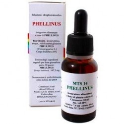 MTS14 Phellinus Gocce 20ml...