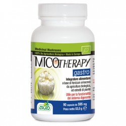 Micotherapy Gastro...