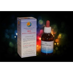 Herboplanet MSA Betula...