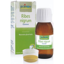 Boiron Ribes Nigrum Gemme...