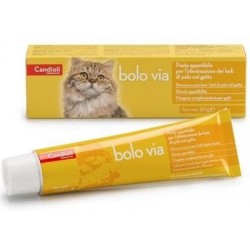 Bolo Via Pasta Veterinaria...