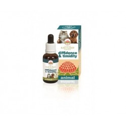 Australian Bush Flower...