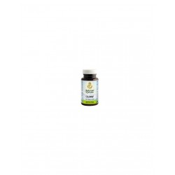 Maharishi Ayurveda Colomap...