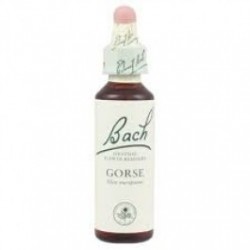 Loacker Bach Gorse Fiori Di...