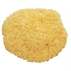 Spugna Naturale di Mare...