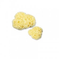 Spugna Naturale di Mare...