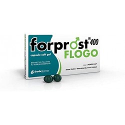 Forprost 400 Flogo...