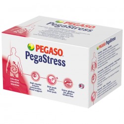 Pegaso Pegastress...