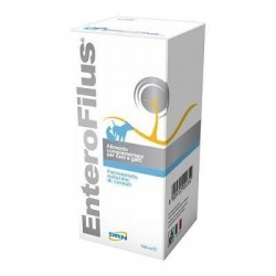 Drn Enterofilus 100 ml...