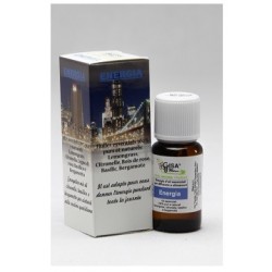  Energia Sinergia Oli...