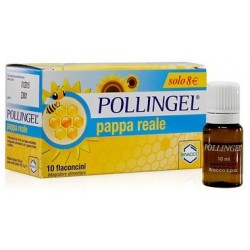 Bracco Pollingel Pappa...