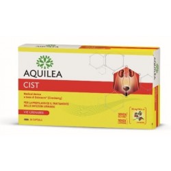 Laborest Aquilea Cist 14...