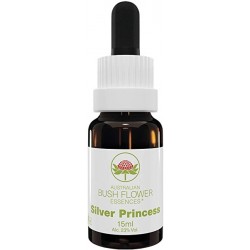 Australian Bush Flower...