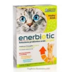  Petformance Enerbiotic Gatto