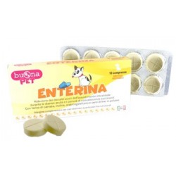 Steve Jones Buonapet...