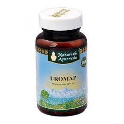 Map Italia Uromap...