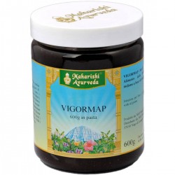 Map Italia Vigormap...