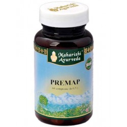 Map Italia Premap...