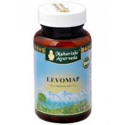 Map Italia Levomap...