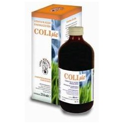 AVD Reform Coliphit...