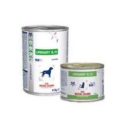 Urinary S/O Umido Cani...