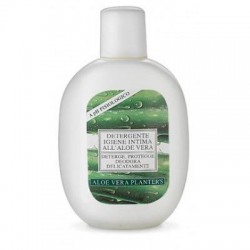 Planter's Aloe Vera...