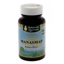 Map Italia Manasmap...