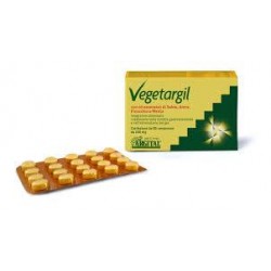 Vegetargil Argilla Verde...