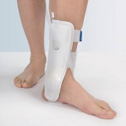 FGP Tutore Bivalve...