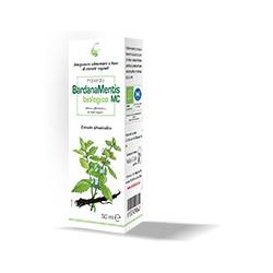 Macerato di Bardana Mentis...