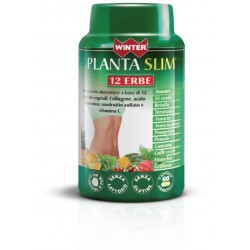 Winter Planta Slim 12 Erbe...