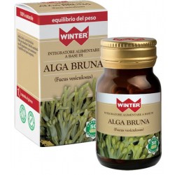Winter Alga Bruna...