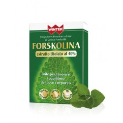 Winter Forskolina...