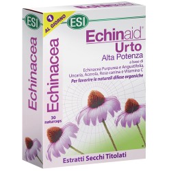 Esi Echinaid Urto per...