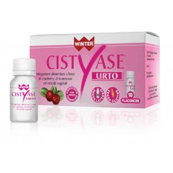 Winter Cistyase Urto...