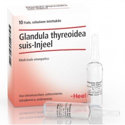 HEEL GLANDULA THYROIDEA...