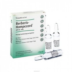 BERBERIS HOMACCORD...